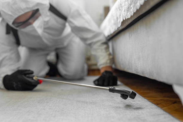 Professional Emergency Pest Control technician working in East Hazel Crest, IL