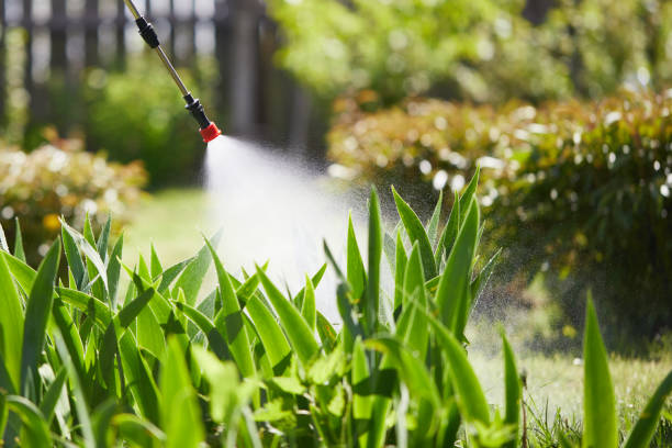 24/7 Emergency Emergency Pest Control experts in East Hazel Crest, IL